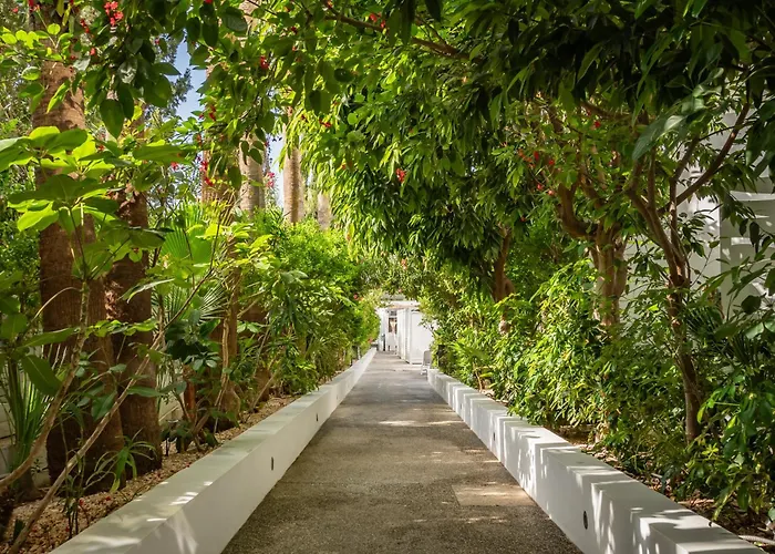 Margadina Hotell Ayia Napa