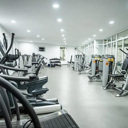 Margadina アヤナパ